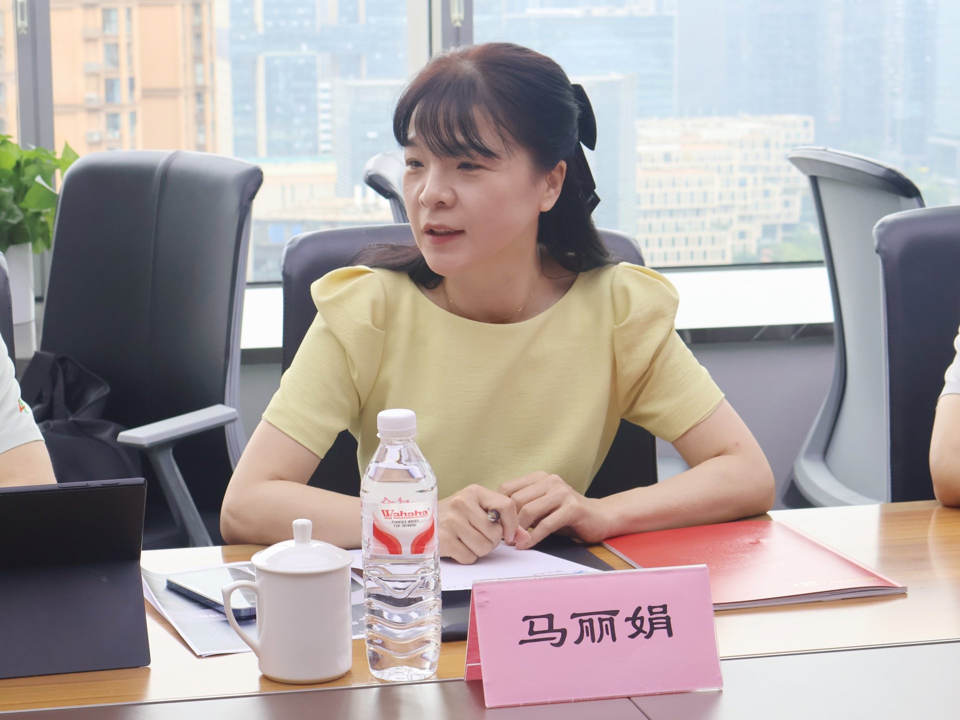 副总裁胡云秀及相关部门负责人参加会议